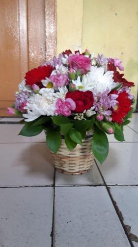 IMG-20210624-WA0015
