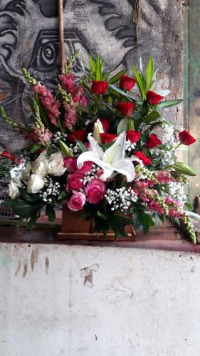 IMG-20210624-WA0036