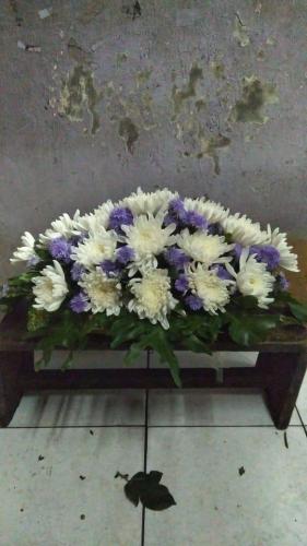 IMG-20210624-WA0039