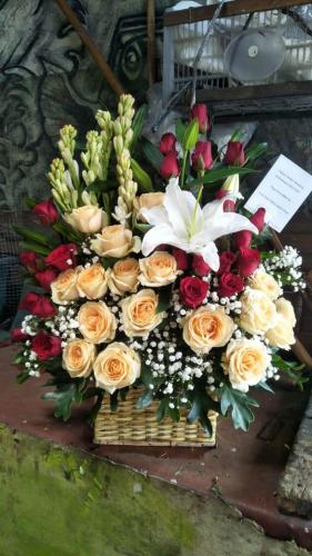 IMG-20210624-WA0042
