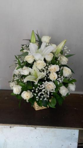 IMG-20210624-WA0049
