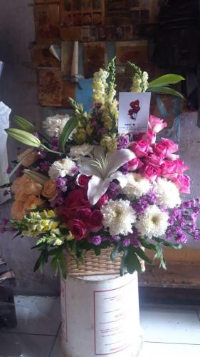 IMG-20210624-WA0064